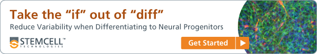 Take the "if" out of "diff": Reduce variability when differentiating to neural progenitors